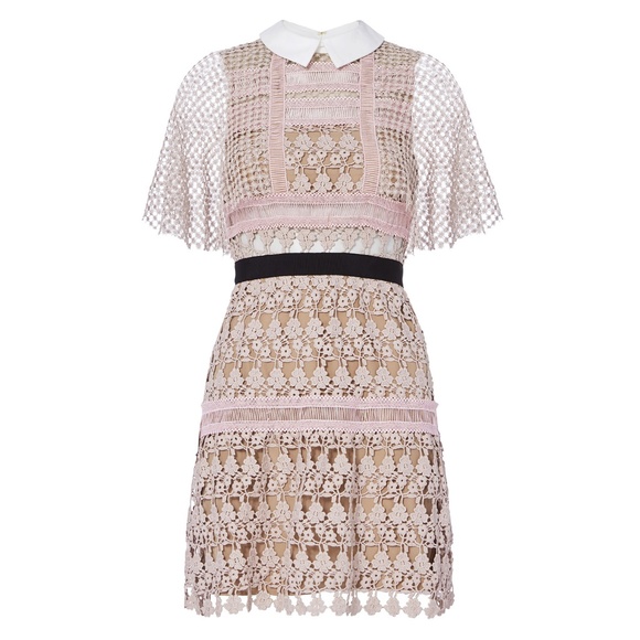 Self-Portrait Dresses & Skirts - SELF-PORTRAIT Blush Cape Vine Lace Mini